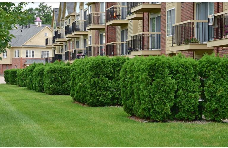 Rolling Green Lawns